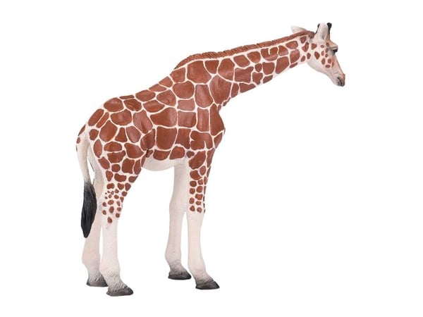 Mojo giraff hona