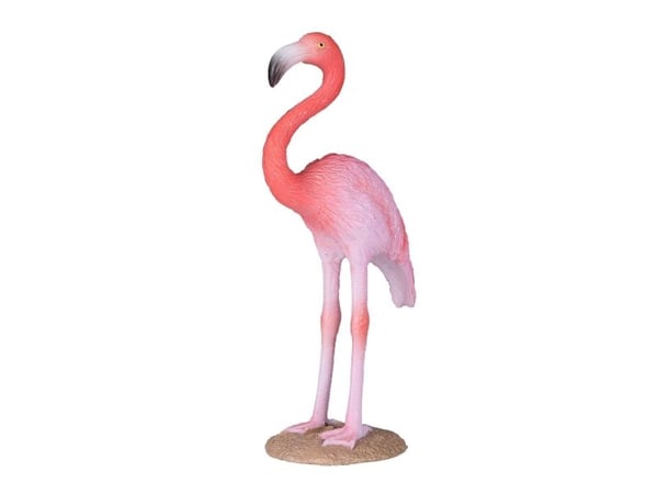 Mojo American Flamingo