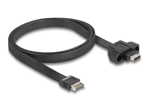 DeLOCK 85760, 0,75 m, 3,2 Gen 2 (3,1 Gen 2), USB Type-E, USB Type-C, hannkontakt, hunnkontakt