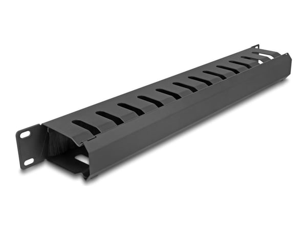 DeLOCK 67069, Kabelbakkepanel, Sort, Metall, 1U, 48,3 cm (19"), 70 mm