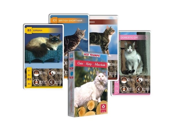 Kortspel Trumps katter