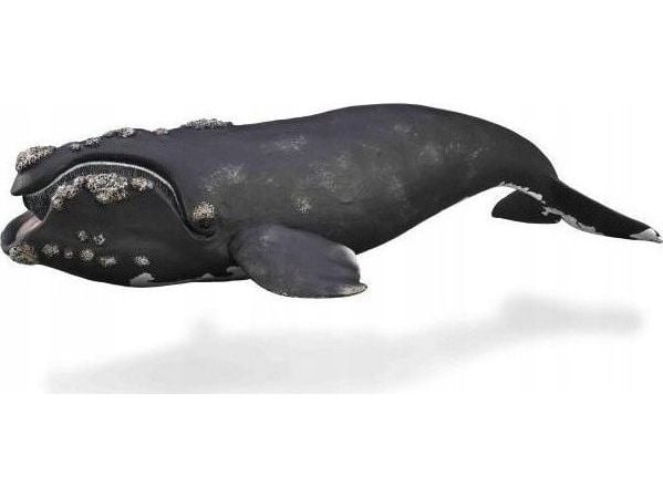 Collecta samlefigur Collecta WALEN Collecta samlefigur Collecta WALEN
