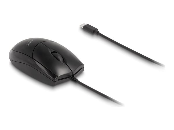 Delock - Mus - stille - høyre- og venstrehåndet - optisk - 2 knapper - kablet - USB-C - svart - løsvekt - boks Delock - Mus - stille - høyre- og venstrehåndet - optisk - 2 knapper - kablet - USB-C - svart - løsvekt - boks