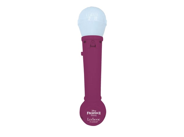 Frozen Lighting Microphone