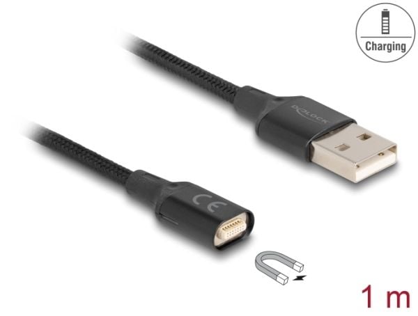 Delock - USB-ladekabel - USB (hann) til terminal (magnet) - USB 2.0 - 5 V - 3 A - 1 m - svart