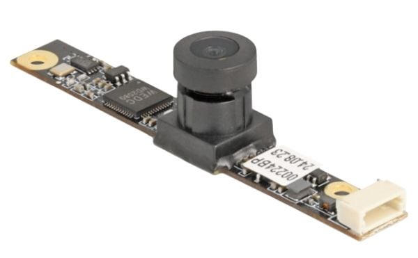 Delock - Overvåkingskamera - brett - farge - 5 MP - 2592 x 1944 - USB 2.0 - DC 5 V