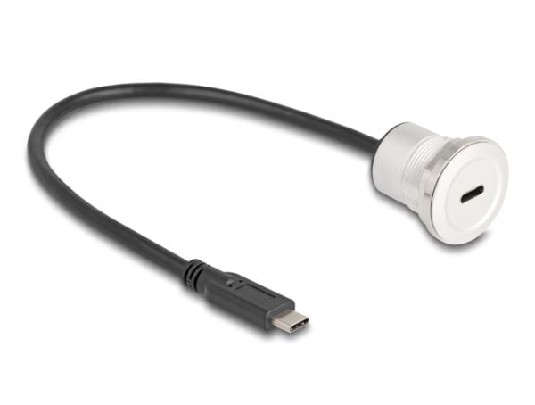 Delock - USB-forlengelseskabel - 24 pin USB-C (hann) til 24 pin USB-C (hunn) panelmonterbar - 30 cm - M22 thread - svart, sølv