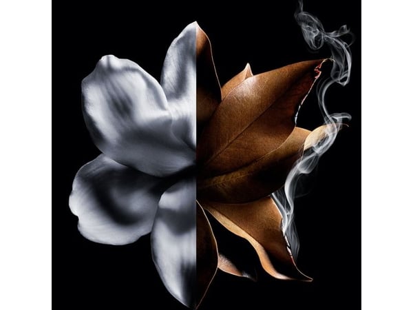 Givenchy L'Interdit Absolu Intense EDP 50ml