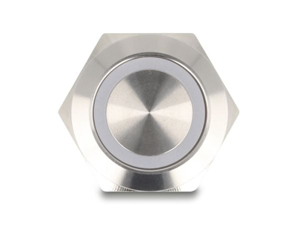 Delock - Push button - for 19 mm installation, 4 x screw terminal, blue LED - panelmonterbar - AC 230 V - sølv