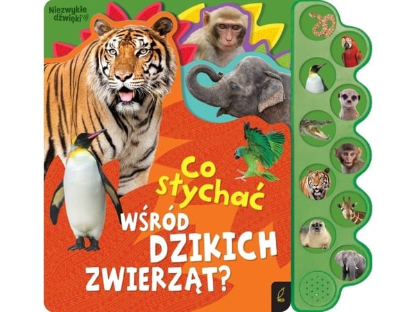Foksal Co slychac... 94765