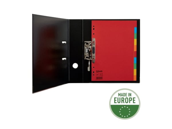 Esselte - Inndeler - 10 deler - for A4 (210 x 297 mm) - kapasitet: 10 ark - med fliker - multifarge