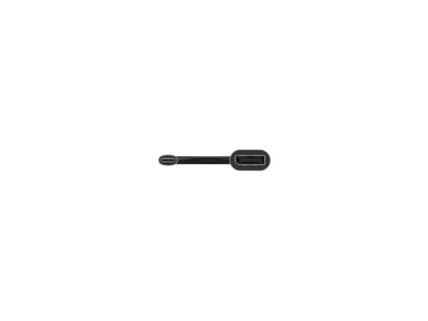 Unitek V1415A - USB / DisplayPort-adapter - USB-C (hann) til DisplayPort (hunn) - DisplayPort 1.4 - 15 cm - 4K 120 Hz støtte, 8K 60Hz støtte - romgrå