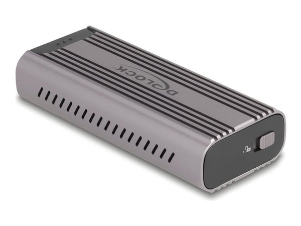 Delock - Drevkabinett - M.2 - M.2 NVMe Card / PCIe (NVMe) - USB-C - grå