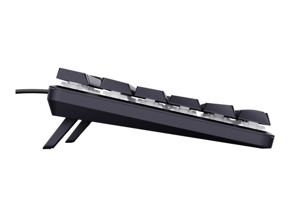 Trust GXT 866 TORIX - Näppäimistö - mekaaninen, RGB-valaistus - 100% (täysi koko) - pyörivällä kooderilla - taustavalaistu - USB - QWERTY - Pohjois...