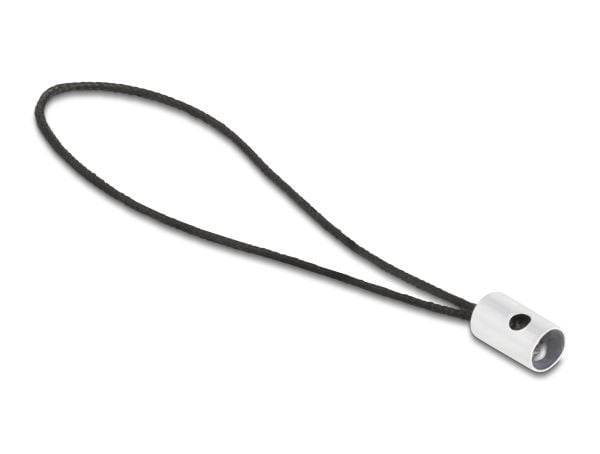 DeLOCK 60688, USB 2.0 Type-C, 8 pin Lightning, Antrasiitti