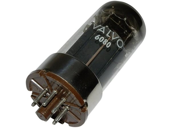 Elektronrör BTB Vertrieb 6080 = 6 A S 7 W dubbeltriode 100 V 100 mA (oktalsockel) (1 st.)