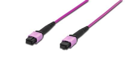 DIGITUS - Koblingskabel - MPO-multimodus (hunn) til MPO-multimodus (hunn) - 2 m - 2 m - fiberoptisk - simpleks - 50 / 125 mikroner - OM4 - halogenf...
