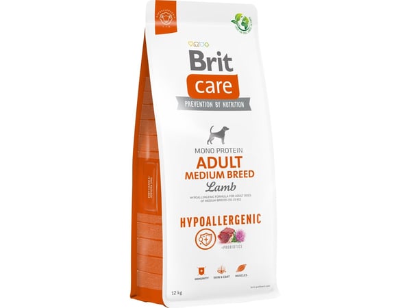 Brit 8595602559015, Vuxen, Alla raser, Medium (11 - 25 kg), Lamm, 12 kg