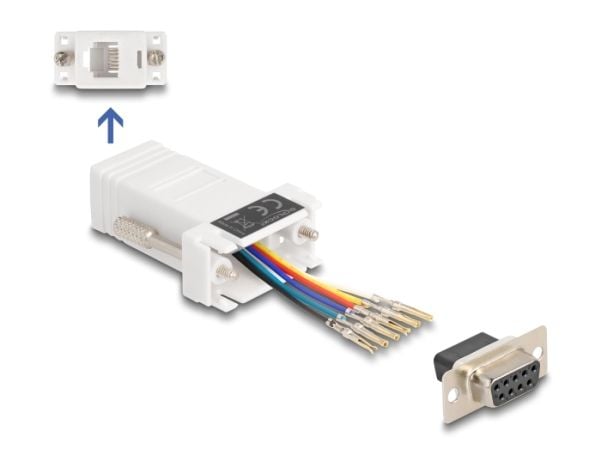Delock - Seriell adapter - DB-9 (hunn) til RJ-12 (6-pin) (hunn) - individually assignable serial interface, tommelskruer - hvit
