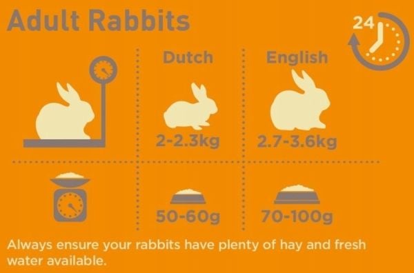 Burgess Excel Indoor Rabbit 1,5 kg