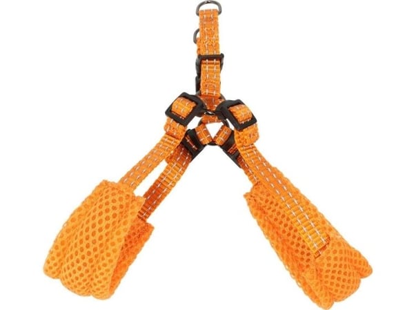 Dogman Step-in Hundsele Iris Orange L