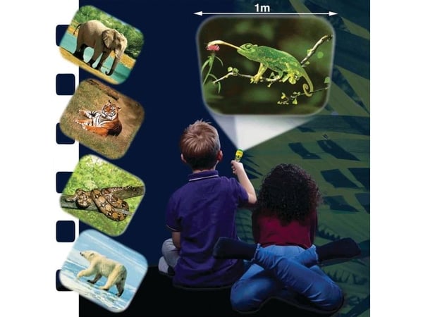 Brainstorm Animal Torch & Projector