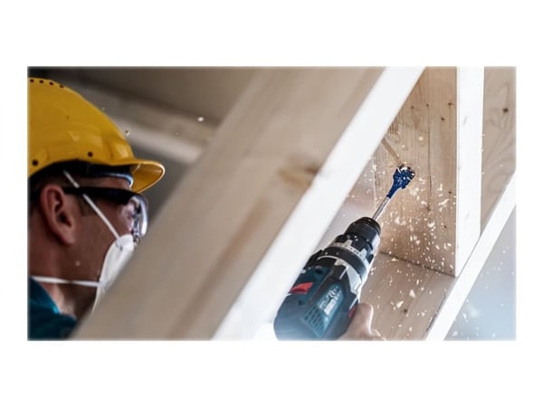 Bosch Expert - Bor - for tre, kartong, bløtt tre, sponplater - spadedel - 25 mm - heksagonal - lengde: 152 mm