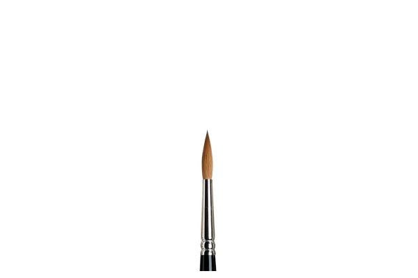 Kolinsky sable brush serie 7 nr 6