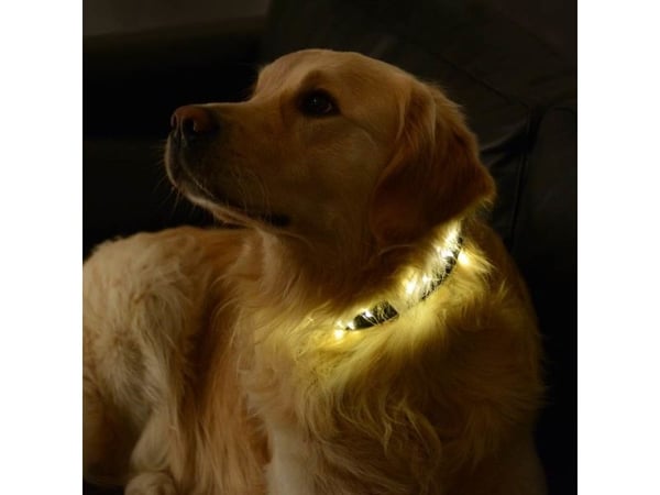 Sirius Lærke hjerte-lyskjede - 20 LED
