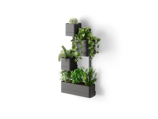UMBRA-Natural Desk, SWIVO