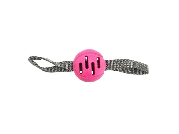Dogman Leksak Fetchball Rosa 6cm