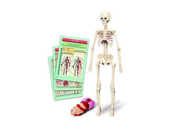 Clementoni pedagogisk spill Human Body Mini