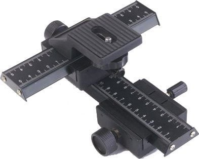 STOR. 423185, Sort
