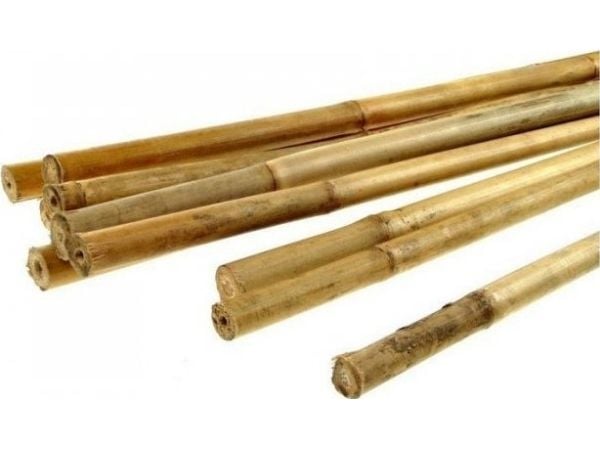 Big BAMBUS STICK 16/18MM*1500MM (1 PACK)