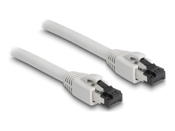 DeLOCK 80560, 2 m, Cat8.1, S/FTP (S-STP), RJ-45, RJ-45, harmaa