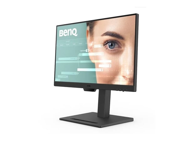 BenQ GW2490T - LED-skjerm - 24" - 1920 x 1080 Full HD (1080p) @ 100 Hz - IPS - 250 cd/m² - 1300:1 - 5 ms - 2xHDMI, DisplayPort - høyttalere
