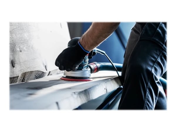 Bosch Expert M480 Net - Slipeark - for løvtre, maling på tre - 5 deler - rund - grovkorn: P80 - 150 mm