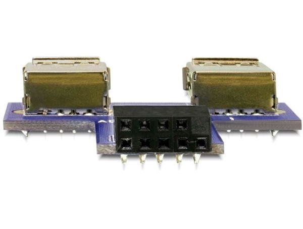 Delock USB Pinheader - USB-adapter (hunn) til USB (hunn)