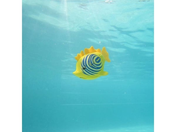 Swim Ways Rainbow Reef Fish - Zebrafisk