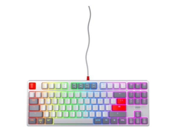 CHERRY XTRFY K4V2 - Retro Edition - tastatur - RGB - 80% - TKL - bakgrunnsbelyst - USB - QWERTY - USA - tastsvitsj: CHERRY MX2A Red - grå