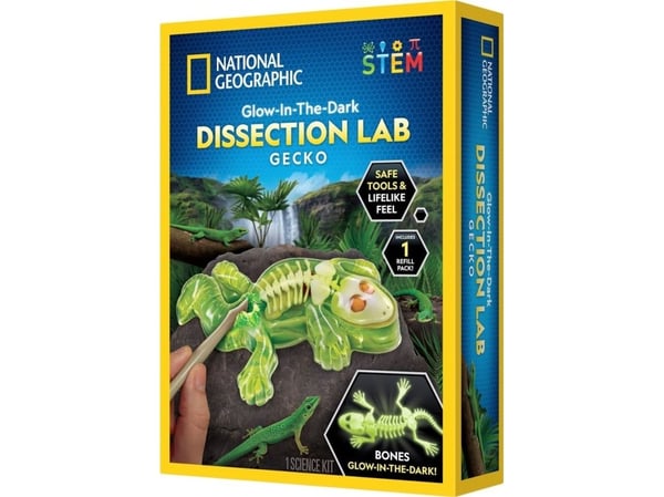 National Geographic Gecko Dissection Lab - laboratorio