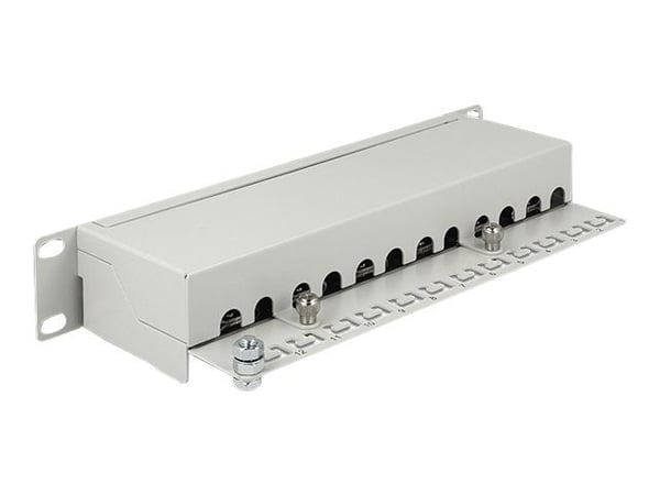 Delock - Koblingspanel - CAT 6a - RJ-45 X 12 - lysegrå, RAL 7035 - 1U - 10"