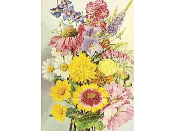 ST474 B6 notatbok + konvolutt Summer flowers ST474 B6 notatbok + konvolutt Summer flowers