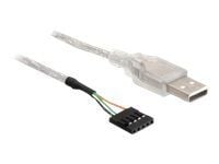 Delock USB Pinheader - USB-kabel - USB (hann) til 5-pin intern (hunn) - USB 2.0 - 70 cm