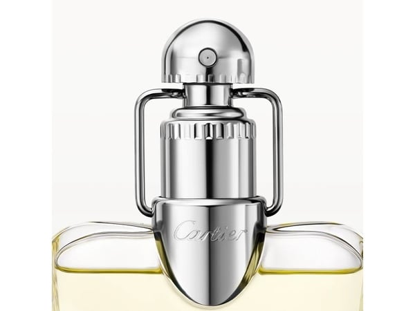 Cartier Déclaration Eau De Toilette Refillable 100 ml (man)