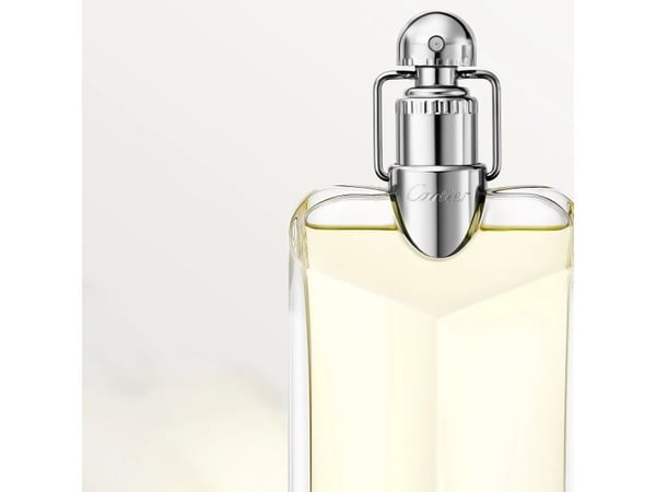 Cartier Déclaration Eau De Toilette Refillable 100 ml (man)