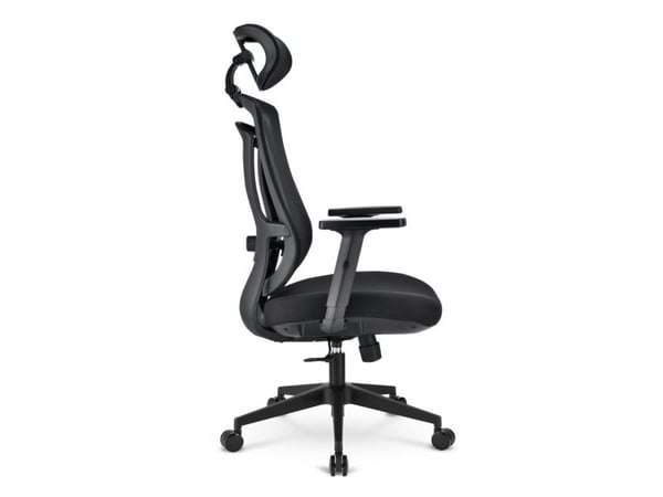 Sharkoon OfficePal C10, polstret sete, ryggstøtte med netting, svart, svart, stoff, skum, maske