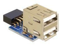 Delock - USB-adapter (hona) till USB (hona)