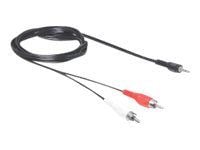 Delock - Äänikaapeli - stereo mini-jack uros stereo mini-jack uros - 5 m - musta