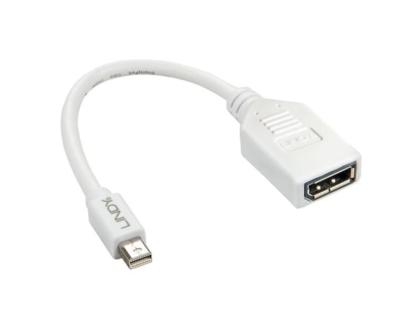 Lindy 41021, 0,15 m, Mini DisplayPort, DisplayPort, Hankjønn, Hunkjønn, Hvit